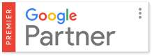 Google partner icon