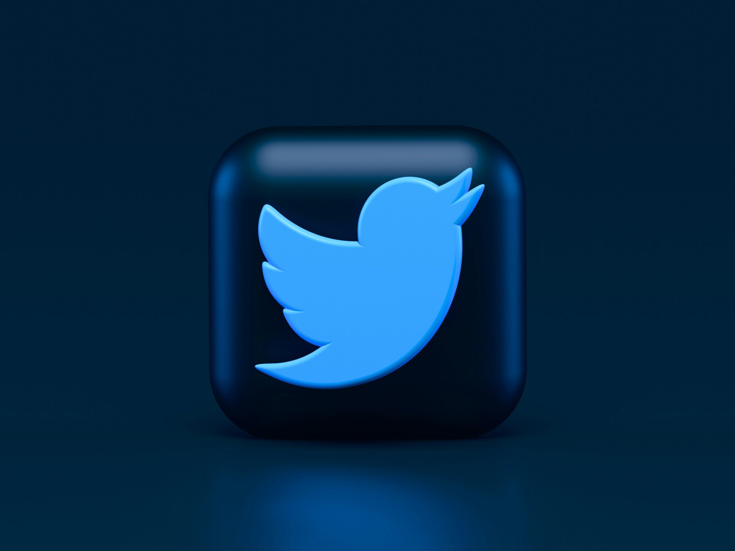 Twitter logo image